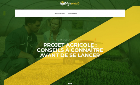 https://www.agriconseils.net