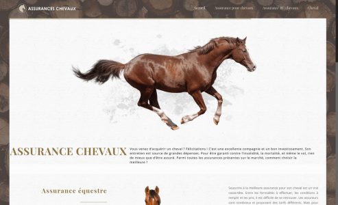 https://www.assurances-chevaux.com